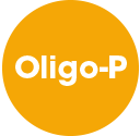 Oligo-P